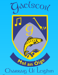 Gaelscoil Charraig Uí Leighin